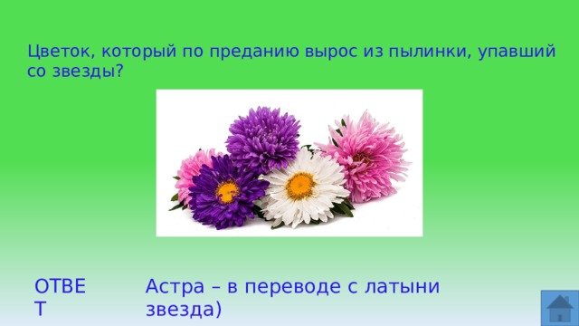 Цветок, который по преданию вырос из пылинки, упавший со звезды? ОТВЕТ Астра – в переводе с латыни звезда)  