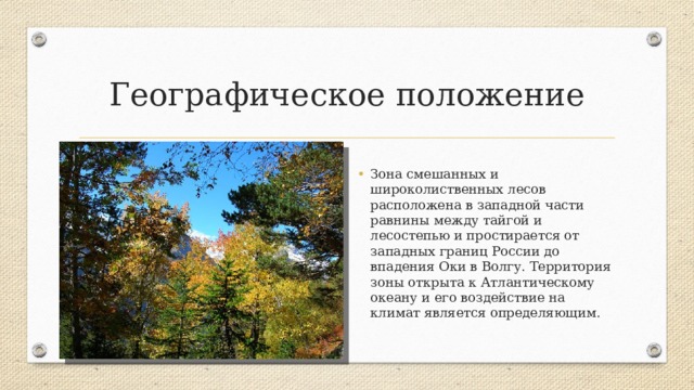 Географическое положение Зона смешанных и широколиственных лесов расположена в западной части равнины между тайгой и лесостепью и простирается от западных границ России до впадения Оки в Волгу. Территория зоны открыта к Атлантическому океану и его воздействие на климат является определяющим. 