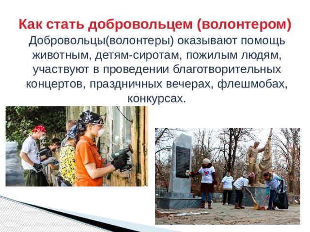 Как стать волонтером подростку. Как стать волонтером. помощь природе волонтерство.