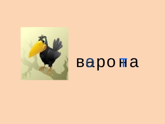 в а р о н а о т 