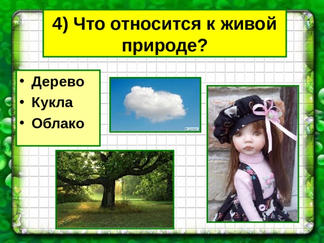 4) Что относится к живой природе? Дерево Кукла Облако 