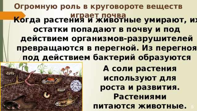 Животные роль в круговороте веществ. Организмы Разрушители. Великий круговорот жизни. Круговорот жизни 3 класс окружающий мир