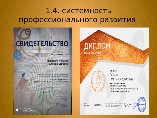 1.4. системность профессионального развития 