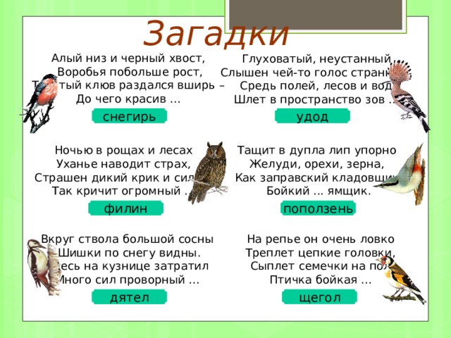 Загадки Алый низ и черный хвост,  Воробья побольше рост,  Толстый клюв раздался вширь –  До чего красив ... Глуховатый, неустанный  Слышен чей-то голос странный,  Средь полей, лесов и вод  Шлет в пространство зов ... снегирь удод Ночью в рощах и лесах  Уханье наводит страх,  Страшен дикий крик и силен,  Так кричит огромный ... Тащит в дупла лип упорно  Желуди, орехи, зерна,  Как заправский кладовщик  Бойкий ... ямщик. поползень филин Триггеры настроены на ответы. Нажав на кружок в нижнем правом углу, можно прервать звук. Вкруг ствола большой сосны  Шишки по снегу видны.  Здесь на кузнице затратил  Много сил проворный ... На репье он очень ловко  Треплет цепкие головки,  Сыплет семечки на пол  Птичка бойкая ... щегол дятел 