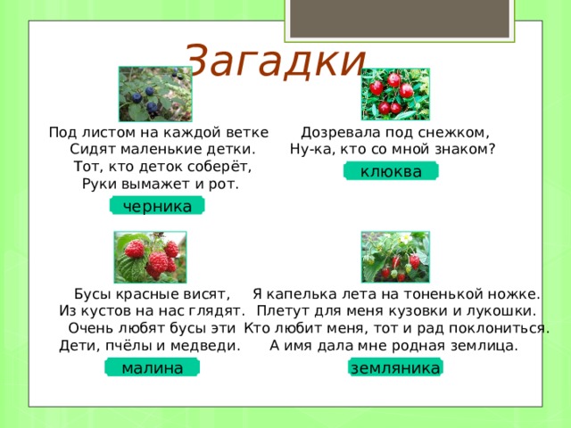 Загадки Дозревала под снежком,  Ну-ка, кто со мной знаком? Под листом на каждой ветке  Сидят маленькие детки.  Тот, кто деток соберёт,  Руки вымажет и рот. клюква черника Триггеры настроены на ответы. Бусы красные висят,  Из кустов на нас глядят.  Очень любят бусы эти  Дети, пчёлы и медведи. Я капелька лета на тоненькой ножке.  Плетут для меня кузовки и лукошки.  Кто любит меня, тот и рад поклониться.  А имя дала мне родная землица. земляника малина 