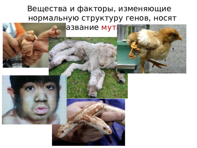 Что такое пбп по обж. Смотреть фото Что такое пбп по обж. Смотреть картинку Что такое пбп по обж. Картинка про Что такое пбп по обж. Фото Что такое пбп по обж