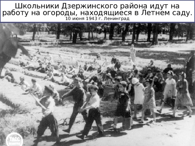 Школьники Дзержинского района идут на работу на огороды, находящиеся в Летнем саду. 10 июня 1943 г. Ленинград 