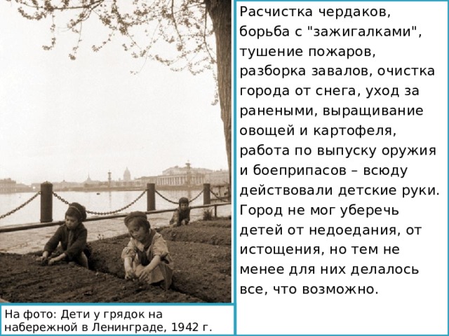 Расчистка чердаков, борьба с 