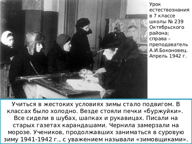 Урок естествознания в 7 классе школы № 239 Октябрьского района; справа – преподаватель А.И.Боконовец. Апрель 1942 г. Учиться в жестоких условиях зимы стало подвигом. В классах было холодно. Везде стояли печки «буржуйки». Все сидели в шубах, шапках и рукавицах. Писали на старых газетах карандашами. Чернила замерзали на морозе. Учеников, продолжавших заниматься в суровую зиму 1941-1942 г., с уважением называли «зимовщиками». 
