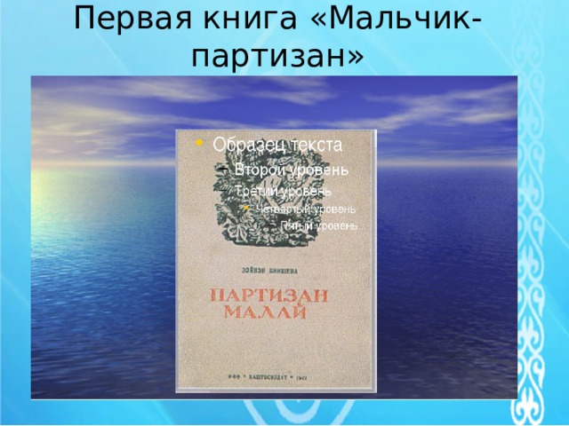 Первая книга «Мальчик-партизан»   