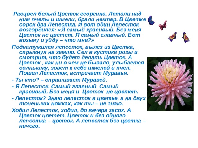  Расцвел белый Цветок георгина. Летали над ним пчелы и шмели, брали нектар. В Цветке сорок два Лепестка. И вот один Лепесток возгордился: «Я самый красивый. Без меня Цветок не цветет. Я самый главный. Вот возьму и уйду – что мне?» Поднатужился лепесток, вылез из Цветка, спрыгнул на землю. Сел в кустике розы и смотрит, что будет делать Цветок. А Цветок , как ни в чем не бывало, улыбается солнышку, зовет к себе шмелей и пчел. Пошел Лепесток, встречает Муравья. - Ты кто? – спрашивает Муравей. - Я Лепесток. Самый главный. Самый красивый. Без меня и Цветок не цветет. - Лепесток? Знаю лепесток в цветке, а на двух тоненьких ножках, как ты – не знаю. Ходил Лепесток, ходил, до вечера засох. А Цветок цветет. Цветок и без одного лепестка – цветок. А лепесток без цветка – ничего.  