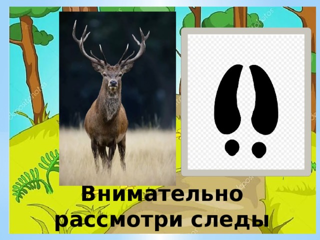Внимательно рассмотри следы 