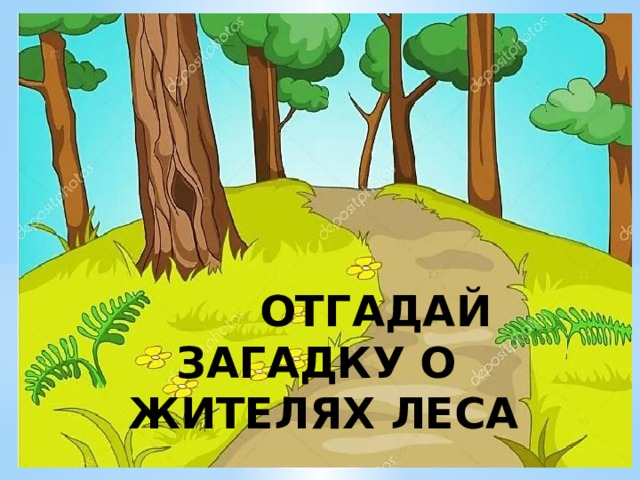  ОТГАДАЙ ЗАГАДКУ О  ЖИТЕЛЯХ ЛЕСА   