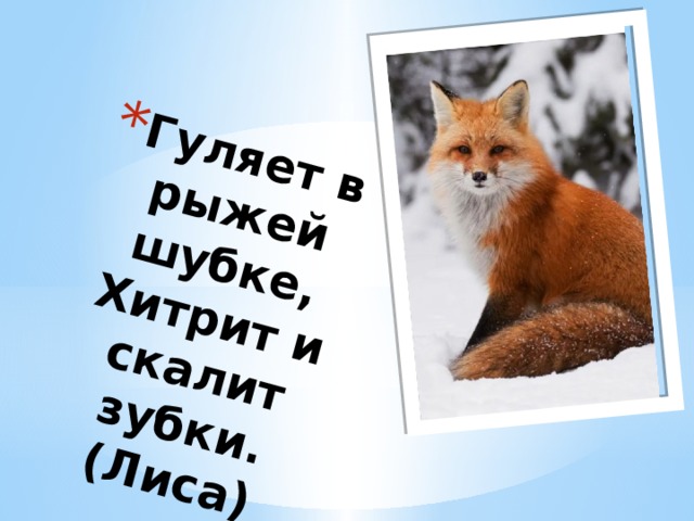 Гуляет в рыжей шубке,  Хитрит и скалит зубки.  (Лиса)       