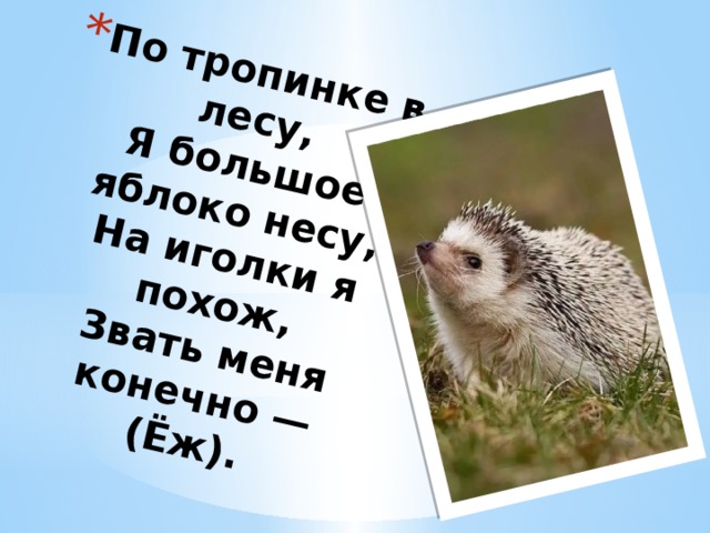 По тропинке в лесу,  Я большое яблоко несу,  На иголки я похож,  Звать меня конечно —  (Ёж).   