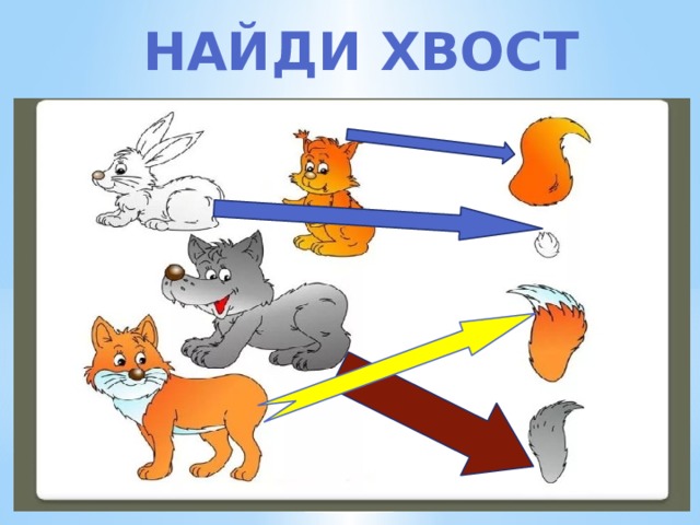 НАЙДИ ХВОСТ 