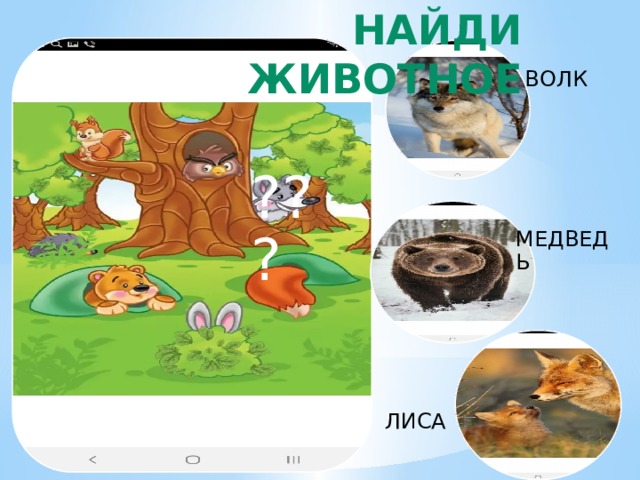 НАЙДИ ЖИВОТНОЕ ВОЛК МЕДВЕДЬ ??? ЛИСА 