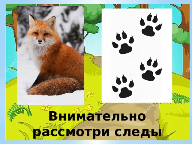 Внимательно рассмотри следы 