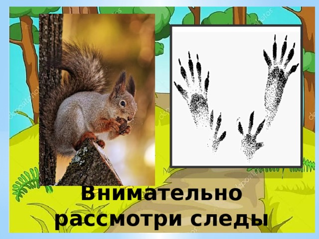 Внимательно рассмотри следы 