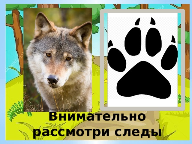 Внимательно рассмотри следы 