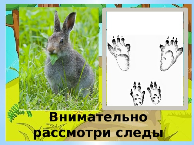 Внимательно рассмотри следы 