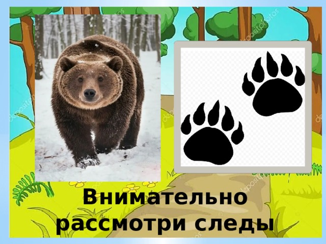 Внимательно рассмотри следы 