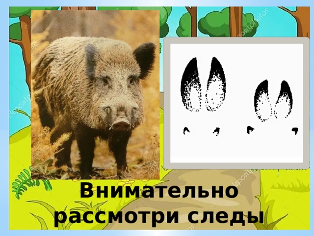 Внимательно рассмотри следы 