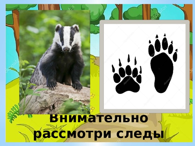 Внимательно рассмотри следы 