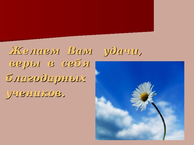    Желаем Вам удачи, веры в себя и  благодарных  учеников.  