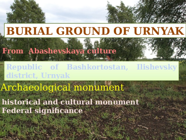 BURIAL GROUND OF URNYAK From Abashevskaya culture Republic of Bashkortostan, Ilishevsky district, Urnyak Archaeological monument historical and cultural monument Federal significance 