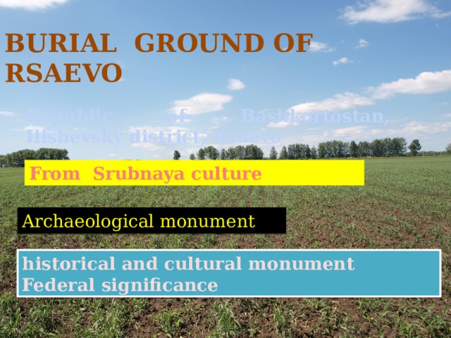 BURIAL GROUND OF RSAEVO Republic of Bashkortostan, Ilishevsky district, Rsaevo From Srubnaya culture Archaeological monument historical and cultural monument Federal significance 