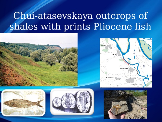 Chui-atasevskaya outcrops of shales with prints Pliocene fish 