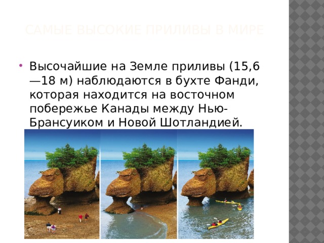 В каком заливе наблюдаются самые высокие приливы. Самые высокие приливы. самые высокие приливы в мире наблюдаются в.