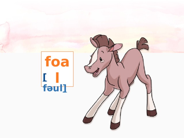 foal [ fəul ] 