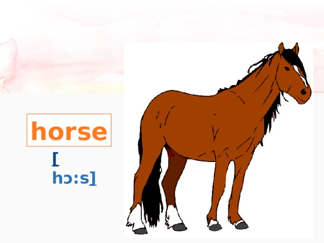 horse [ hɔ:s ] 