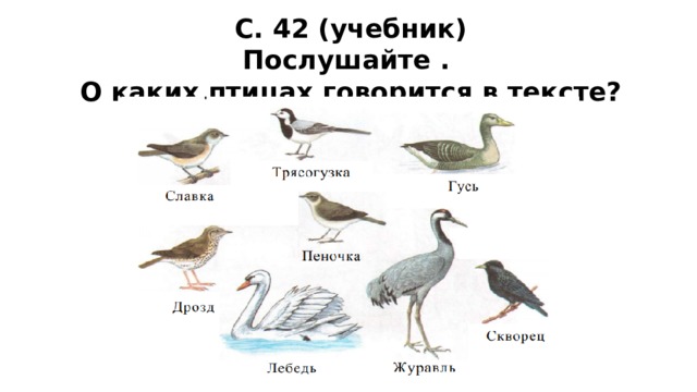 Послушать учебник. Какая птица упоминается в тексте?. Какие птицы упоминаются в тексте Дружба. Какие птицы не упоминаются в тексте. Какие птицы упоминались в приказе.