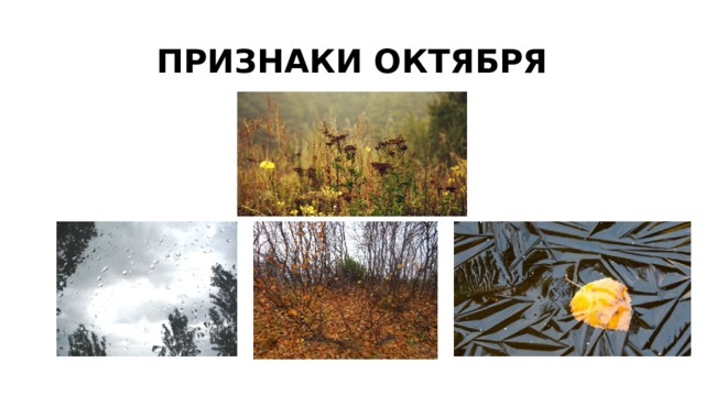 ПРИЗНАКИ ОКТЯБРЯ