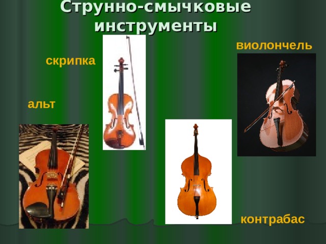 Струнно-смычковые инструменты виолончель скрипка альт контрабас 