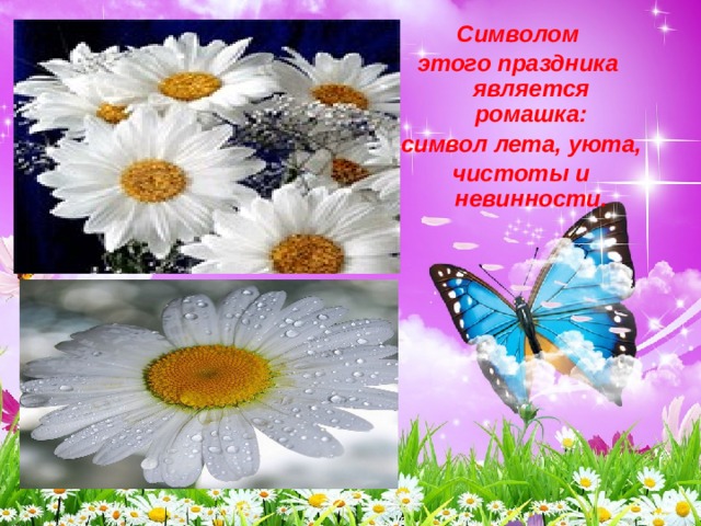 Символом  этого праздника является ромашка:  символ лета, уюта,  чистоты и невинности. 