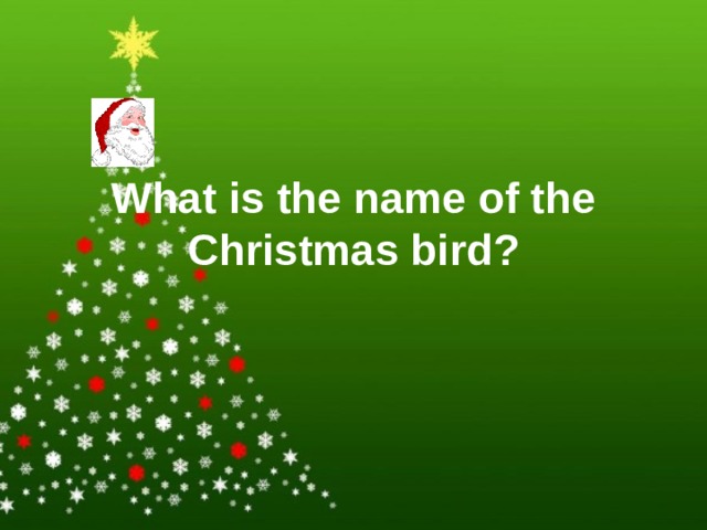What is the name of the Christmas bird? 