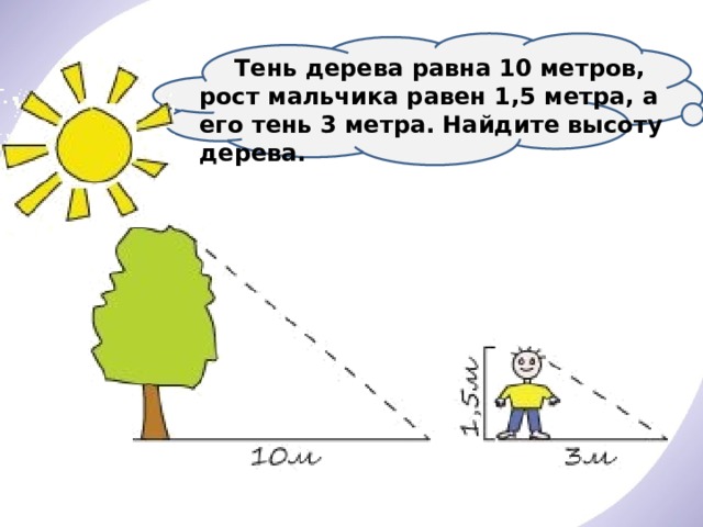  Тень дерева равна 10 метров, рост мальчика равен 1,5 метра, а его тень 3 метра. Найдите высоту дерева. 