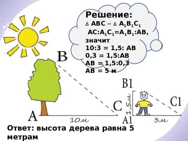 Решение:   АВС    А 1 В 1 С 1   AC:A 1 C 1 =A 1 B 1 :AB, значит 10:3 = 1,5: AB 0,3 = 1,5:AB AB = 1,5:0,3 AB = 5 м Ответ: высота дерева равна 5 метрам 