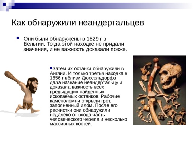 Как обнаружили неандертальцев Они были обнаружены в 1829 г в Бельгии. Тогда этой находке не придали значения, и ее важность доказали позже. Затем их останки обнаружили в Англии. И только третья находка в 1856 г вблизи Дюссельдорфа дала название неандертальцу и доказала важность всех предыдущих найденных ископаемых останков. Рабочие каменоломни открыли грот, заполненный илом. После его расчистки они обнаружили недалеко от входа часть человеческого черепа и несколько массивных костей.