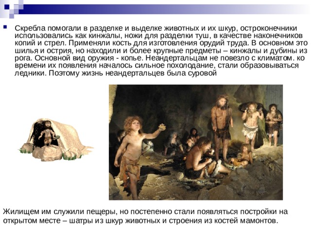 Скребла помогали в разделке и выделке животных и их шкур, остроконечники использовались как кинжалы, ножи для разделки туш, в качестве наконечников копий и стрел. Применяли кость для изготовления орудий труда. В основном это шилья и острия, но находили и более крупные предметы – кинжалы и дубины из рога. Основной вид оружия - копье. Неандертальцам не повезло с климатом. ко времени их появления началось сильное похолодание, стали образовываться ледники. Поэтому жизнь неандертальцев была суровой Жилищем им служили пещеры, но постепенно стали появляться постройки на открытом месте – шатры из шкур животных и строения из костей мамонтов.