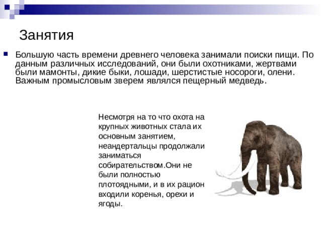Занятия Большую часть времени древнего человека занимали поиски пищи. По данным различных исследований, они были охотниками, жертвами были мамонты, дикие быки, лошади, шерстистые носороги, олени. Важным промысловым зверем являлся пещерный медведь. Несмотря на то что охота на крупных животных стала их основным занятием, неандертальцы продолжали заниматься собирательством.Они не были полностью плотоядными, и в их рацион входили коренья, орехи и ягоды.