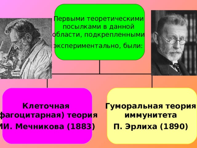 Первыми теоретическими посылками в данной области, подкрепленными экспериментально, были:  Клеточная (фагоцитарная) теория ИИ. Мечникова (1883)  Гуморальная теория иммунитета П. Эрлиха (1890)  