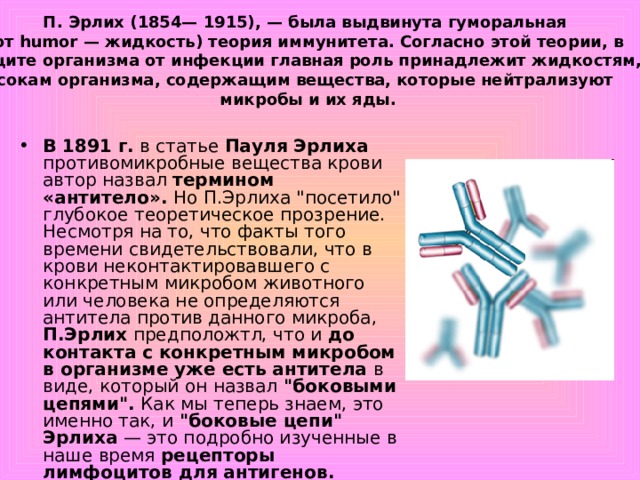 П. Эрлих (1854— 1915), — была выдвинута гуморальная (от humor — жидкость) теория иммунитета. Согласно этой теории, в защите организма от инфекции главная роль принадлежит жидкостям, сокам организма, содержащим вещества, которые нейтрализуют микробы и их яды. В 1891 г. в статье Пауля Эрлиха противомикробные вещества крови автор назвал термином «антитело». Но П.Эрлиха 