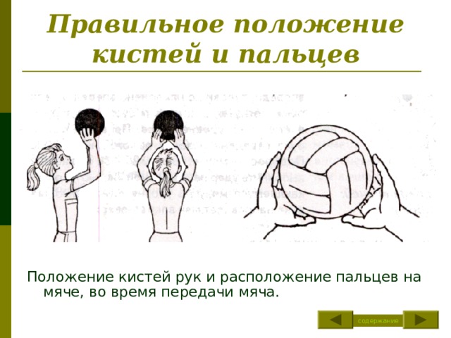 Правильное положение кистей и пальцев Положение кистей рук и расположение пальцев на мяче, во время передачи мяча. содержание 