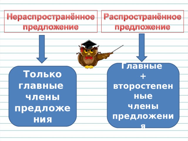 Главные + второстепенные члены предложения Только главные члены предложения 