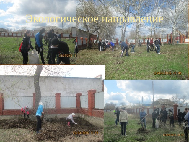 Экологическое направление 